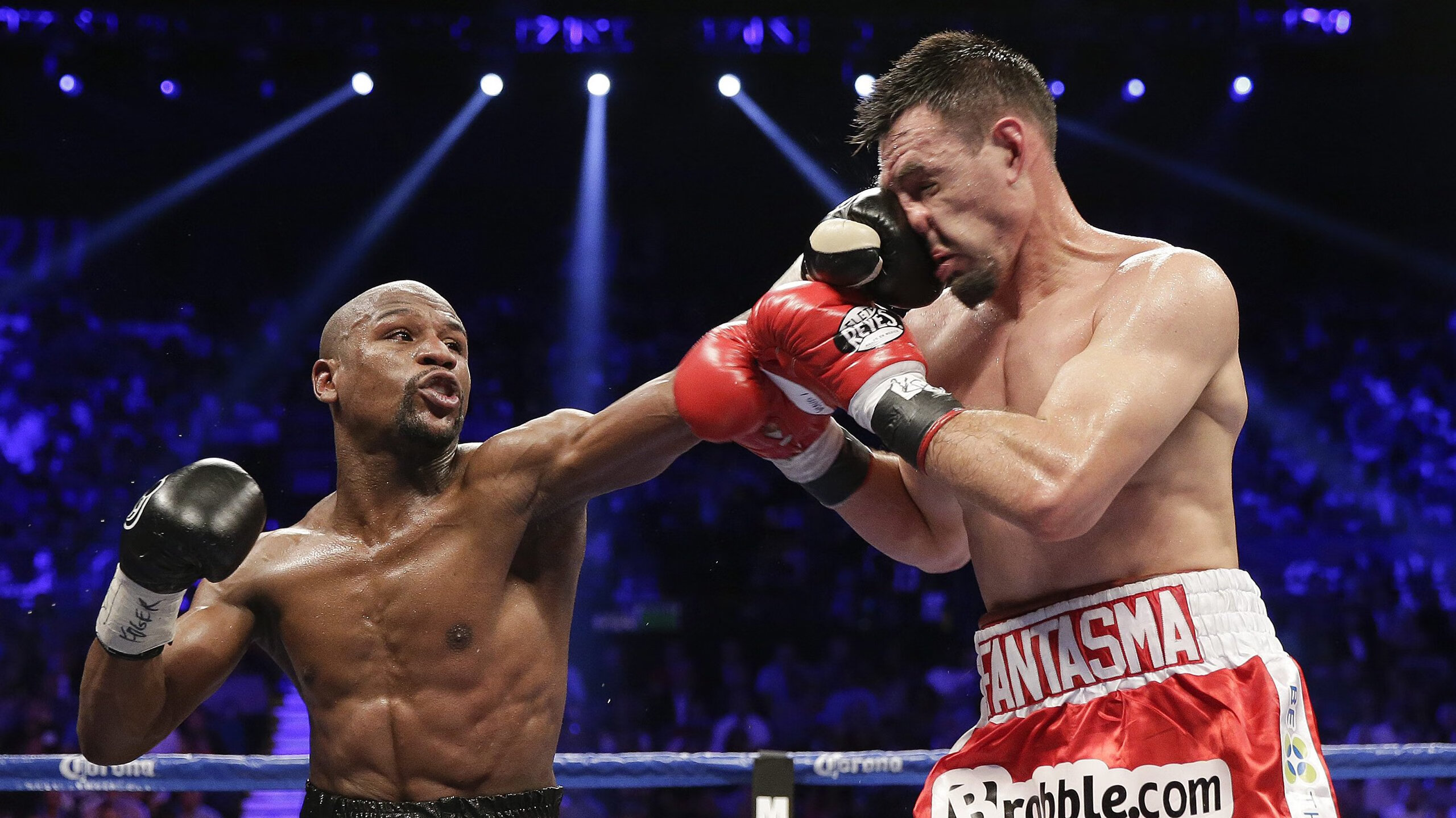 伊朗马术协会与非洲马术协会开展技术援助项目，提升当地水平。