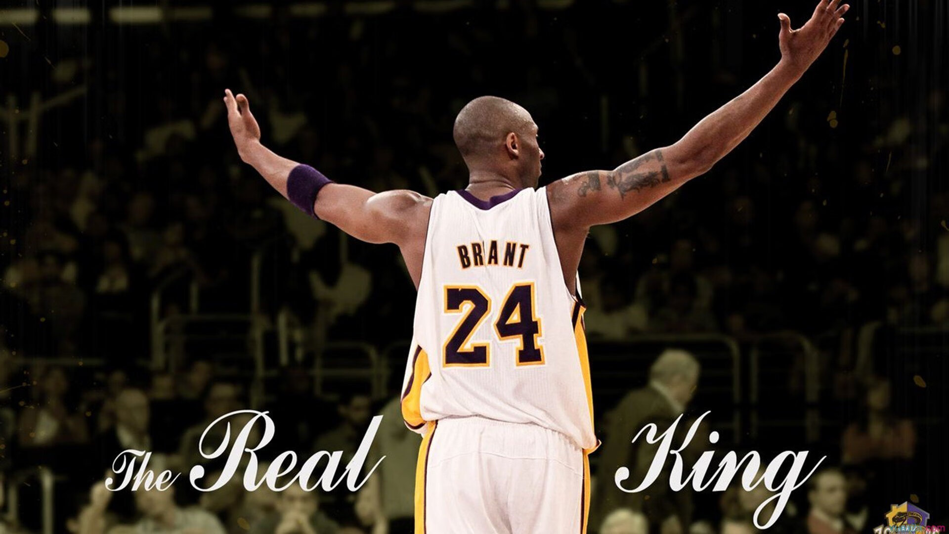 体育纪录片展示运动精神与故事,体育纪录片有哪些